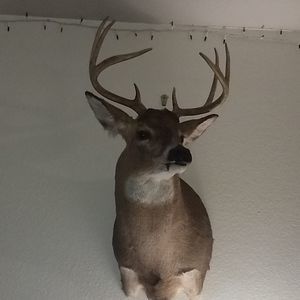 Meet your Posher, Gerald